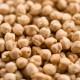 White Chickpea