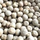 3 Apulian Cicerchia